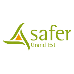 logo-safer